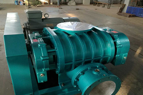 山东香蕉91视频APP下载