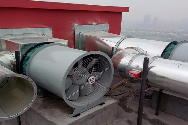 山东香蕉91视频APP下载