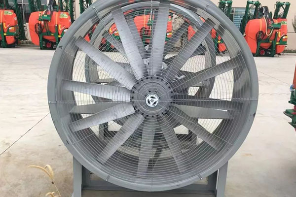 济南香蕉91视频APP下载