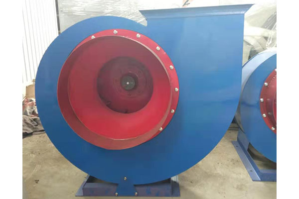 离心引香蕉91视频APP下载