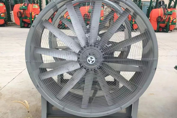 山东香蕉91视频APP下载