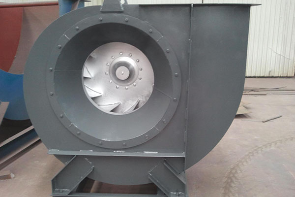 山东香蕉91视频APP下载