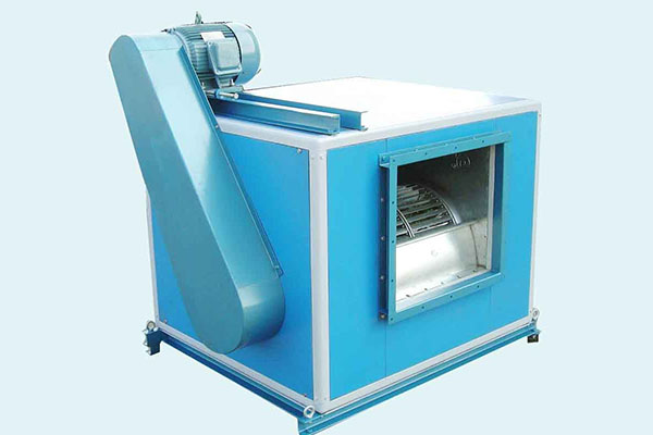 山东香蕉91视频APP下载