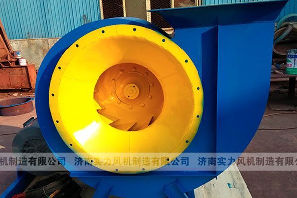 济南香蕉91视频APP下载