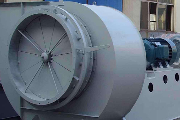 山东香蕉91视频APP下载