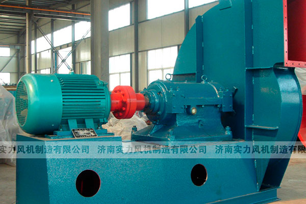 山东香蕉91视频APP下载