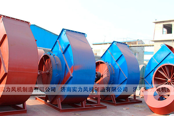 山东香蕉91视频APP下载