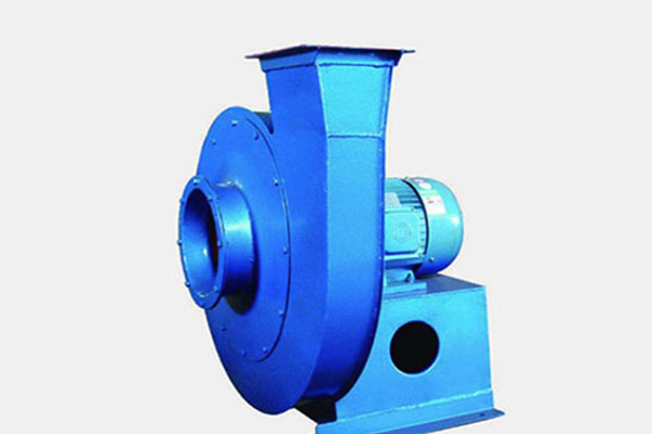 山东香蕉91视频APP下载