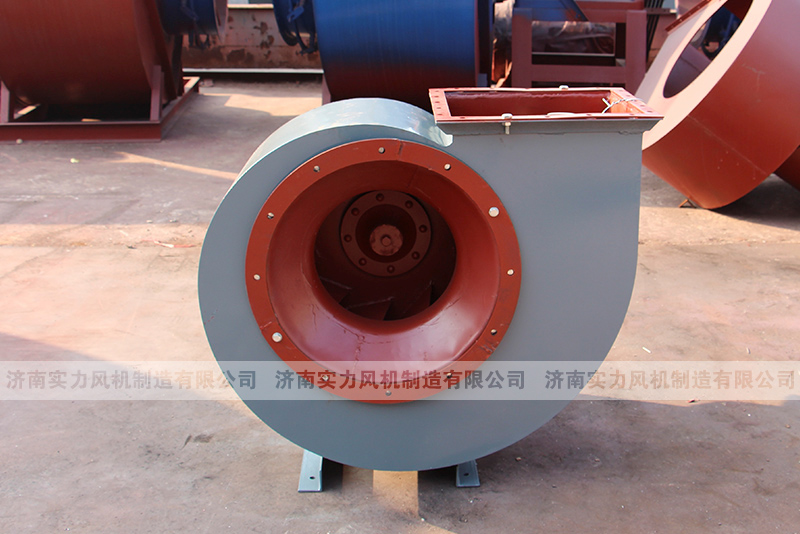 济南香蕉91视频APP下载