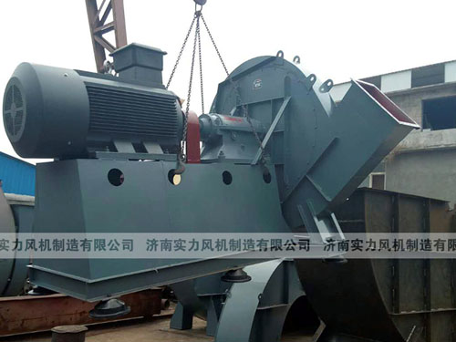 山东香蕉91视频APP下载厂家