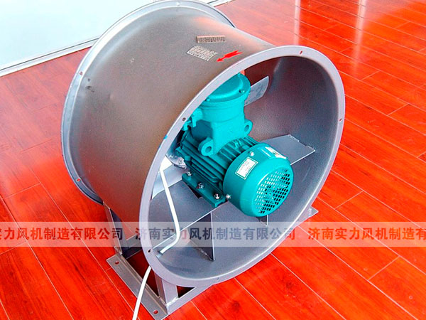 山东香蕉91视频APP下载