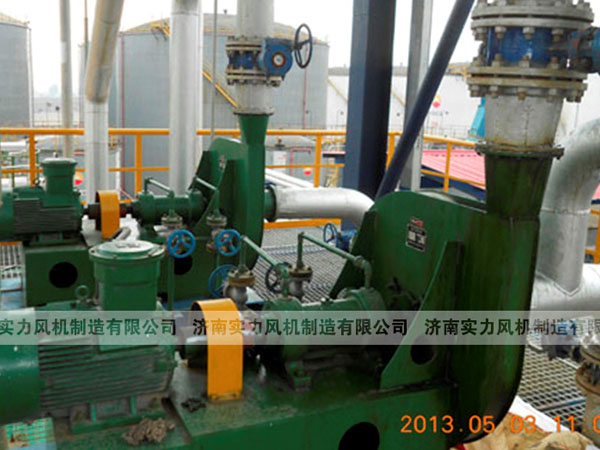 香蕉91视频APP下载厂家