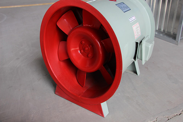 济南香蕉91视频APP下载厂