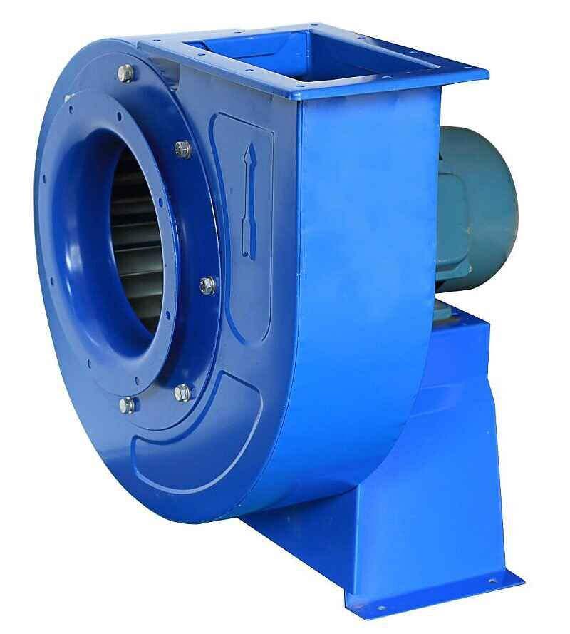 济南香蕉91视频APP下载