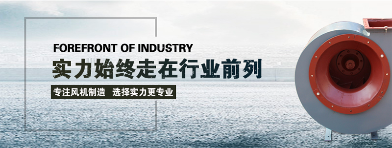 山东香蕉91视频APP下载