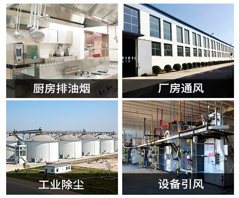 离心香蕉91视频APP下载